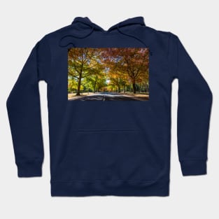 Honour Avenue, Mount Macedon, Victoria, Australia. Hoodie